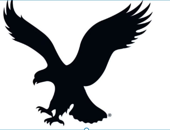 AMERICAN EAGLE OUTFITTERS INC