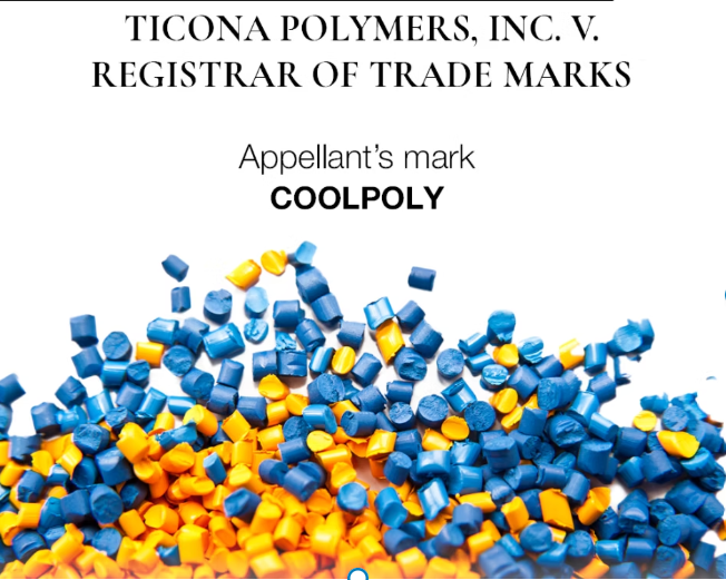TICONA POLYMERS